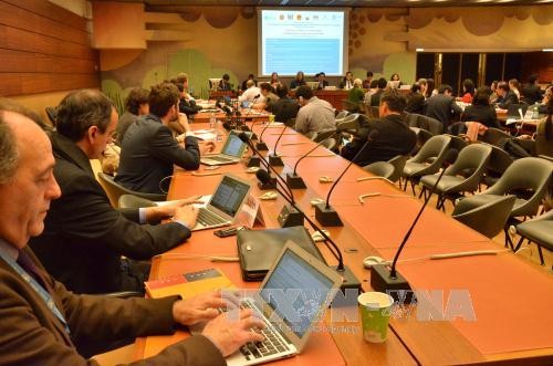 Atténuer les impacts des changements climatiques sur les droits des enfants - ảnh 1